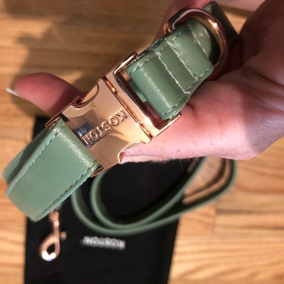 NWOT Koston SET M/L Dog Collar and Leash Set in sage green - Picture 8 of 14